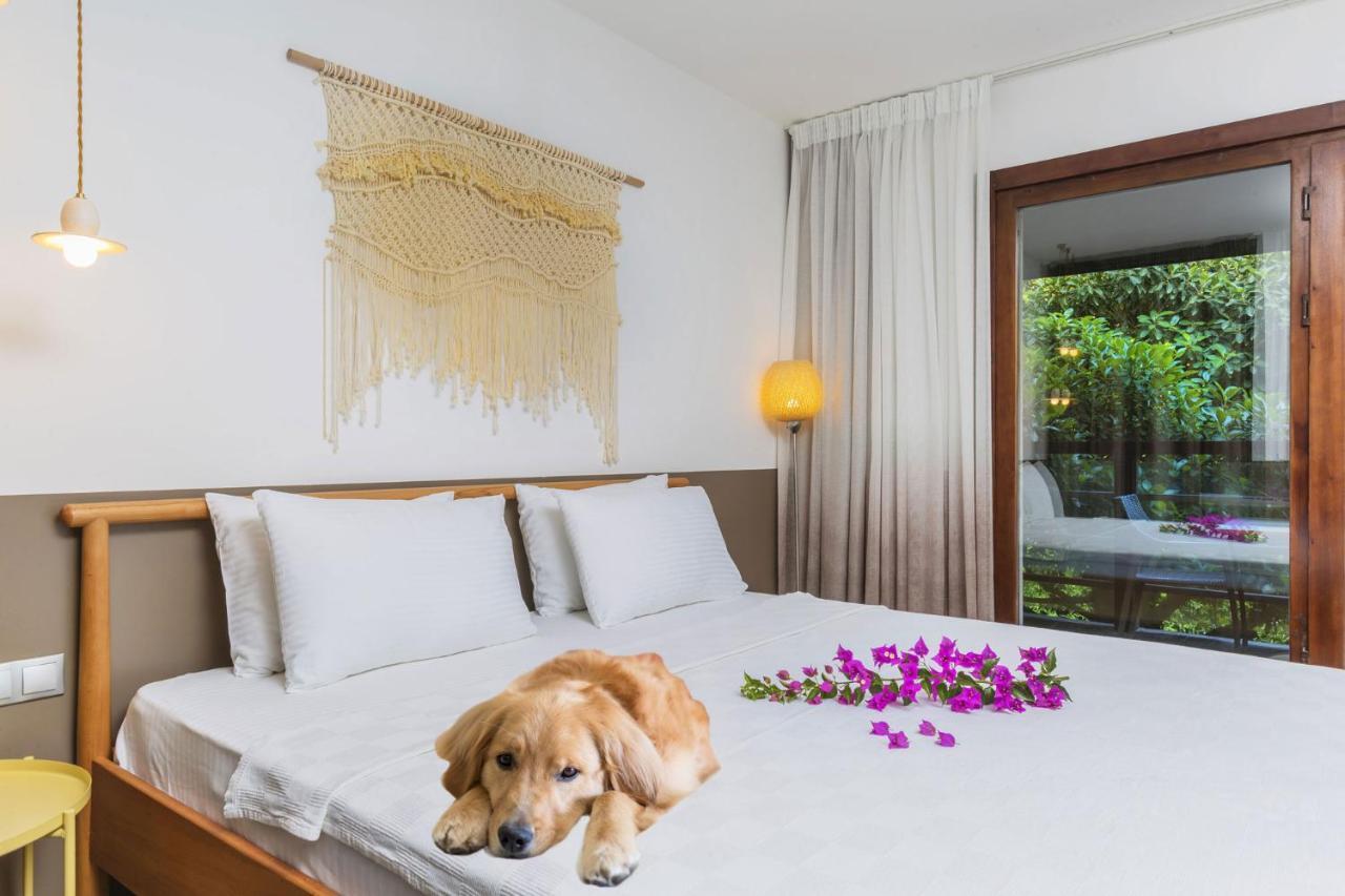 Faros Bodrum Hotel - Special Category Гёльтюрбюку Экстерьер фото